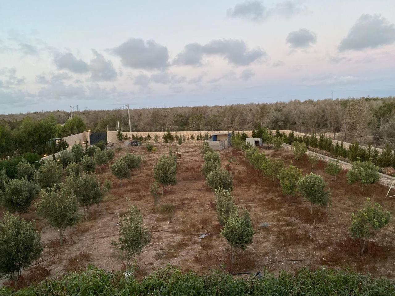 Villa Laarich Essaouira Bagian luar foto